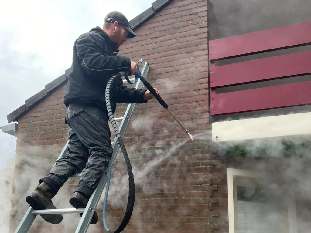 GEVEL REINIGEN